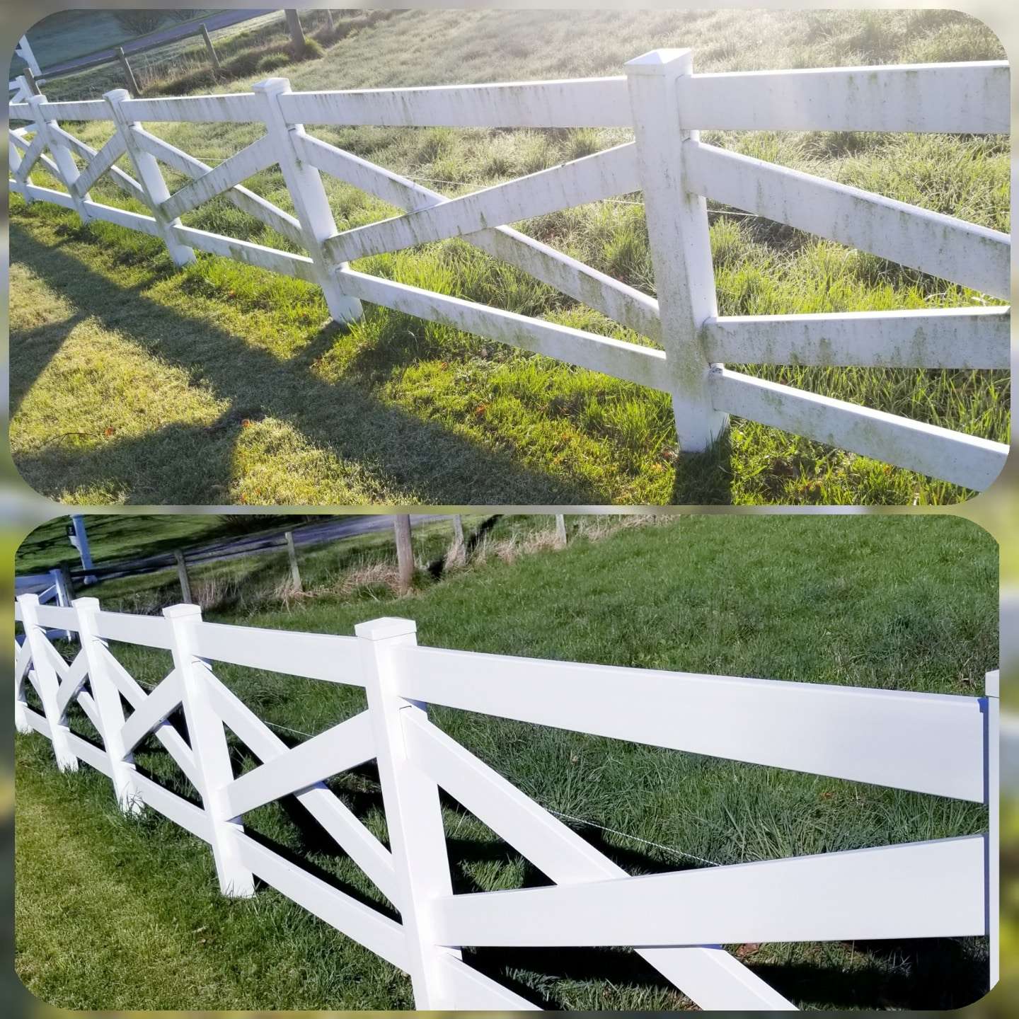 Carrie Fence 1